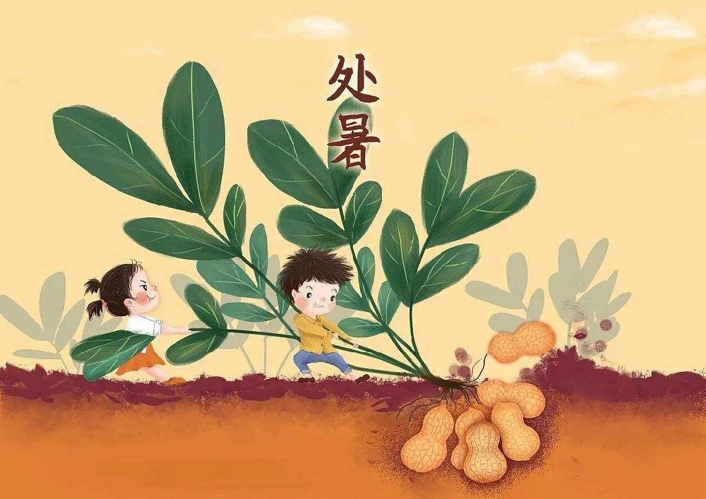 處暑節氣天氣漸涼，谷醫(yī)堂支招應對(duì)“秋燥”